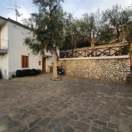 Charlie's House *